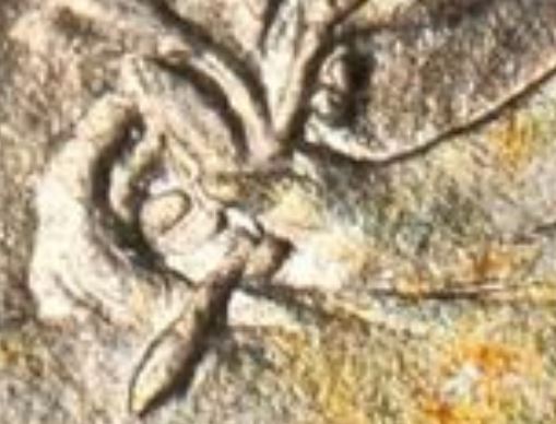Grade-My-Favorite-Coin---A-Special-1916-SLQ---Some-Day...