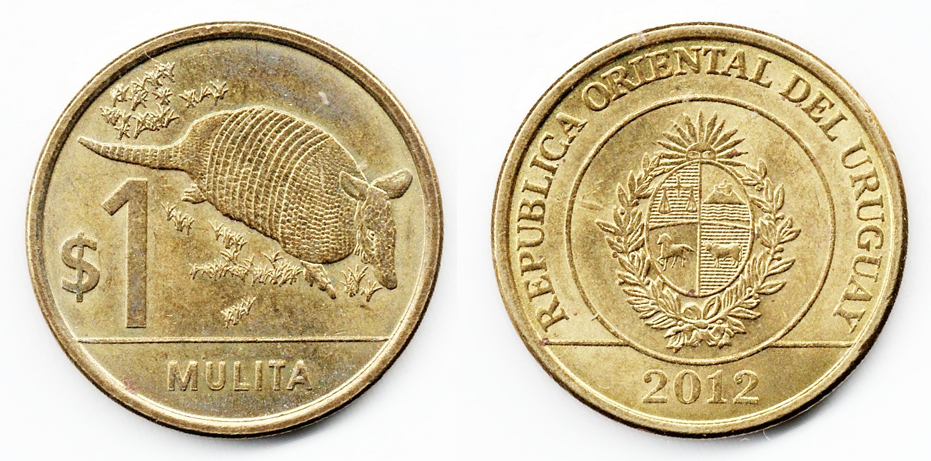 Post-Your-Coins-Representing-The-Animal-Kingdom.
