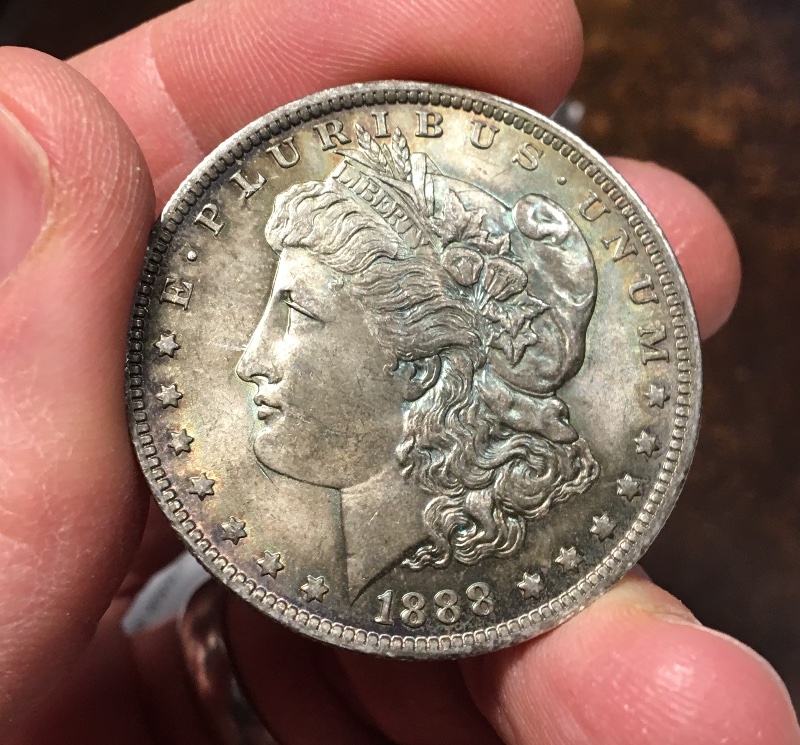 A-Couple-Recent-Pickups:--1888-O-Morgan-Dollar-Grading