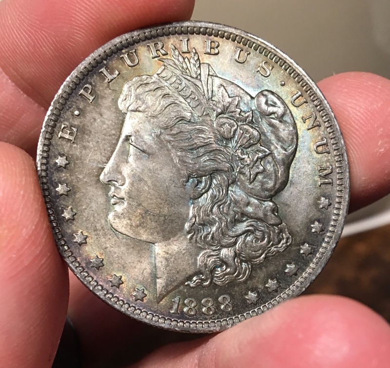 A-Couple-Recent-Pickups:--1888-O-Morgan-Dollar-Grading