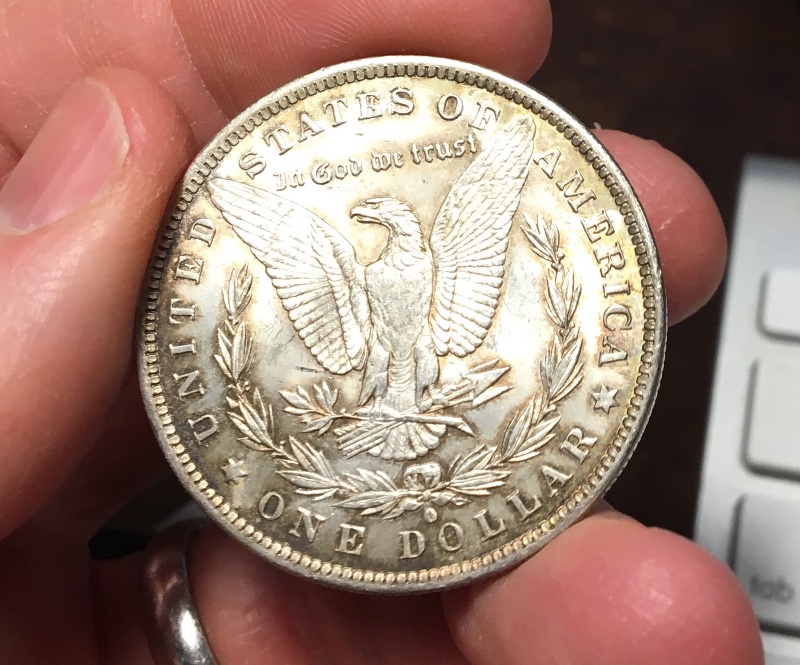 A-Couple-Recent-Pickups:-1884-O-Morgan-Dollar-Grading