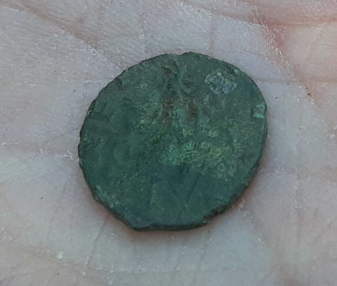 Roman-Coin-I'd-Please