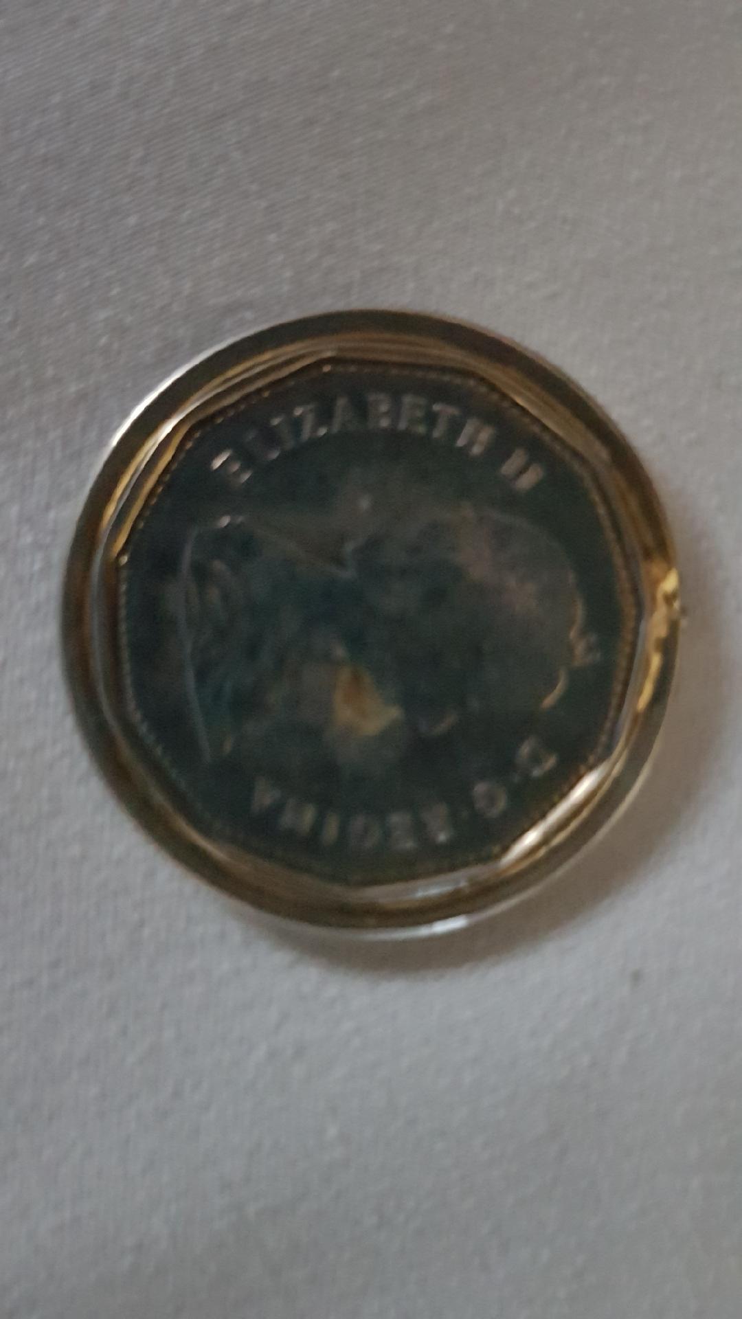 1989-Loonie-Punch-Error---Thoughts?