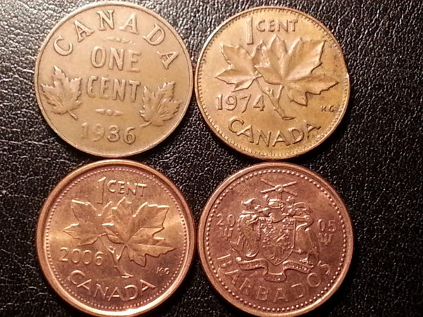 Canadian-Roll-Hunting