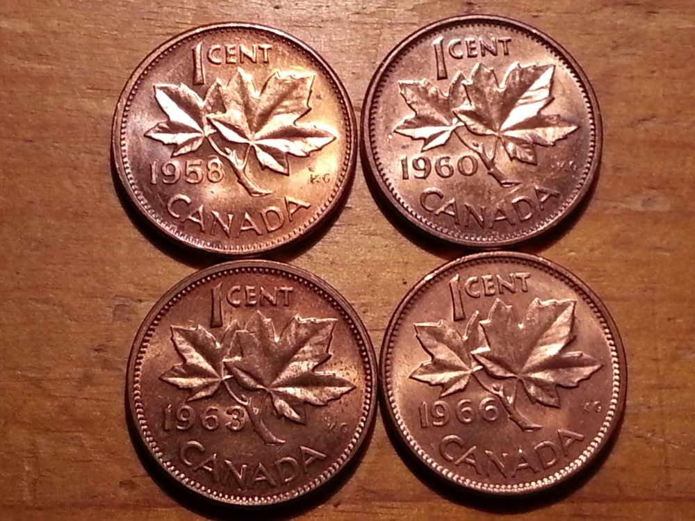 Canadian-Roll-Hunting