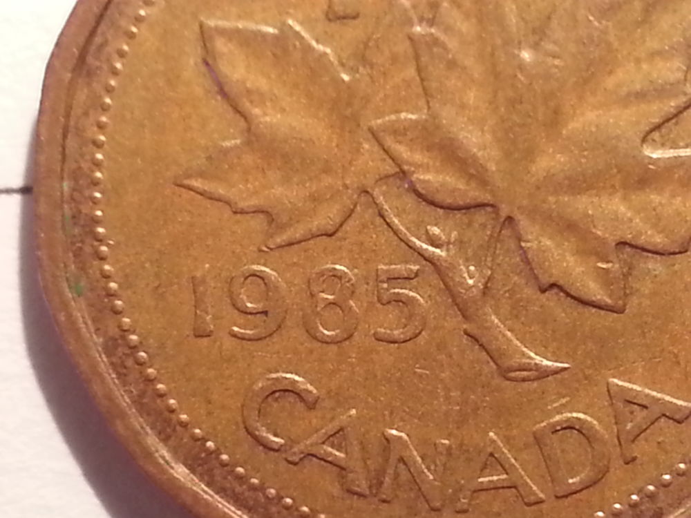 Canadian-Roll-Hunting