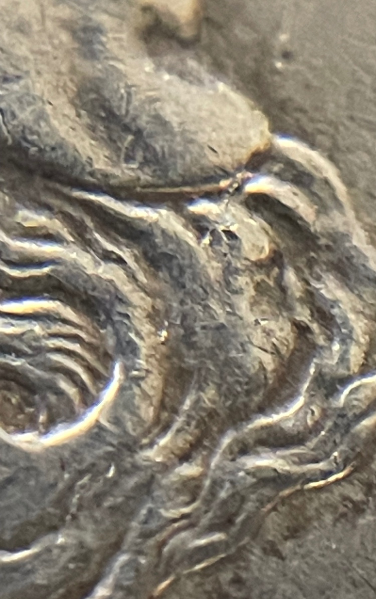 1883-O-Morgan---Non-Diagnostic-Crack?