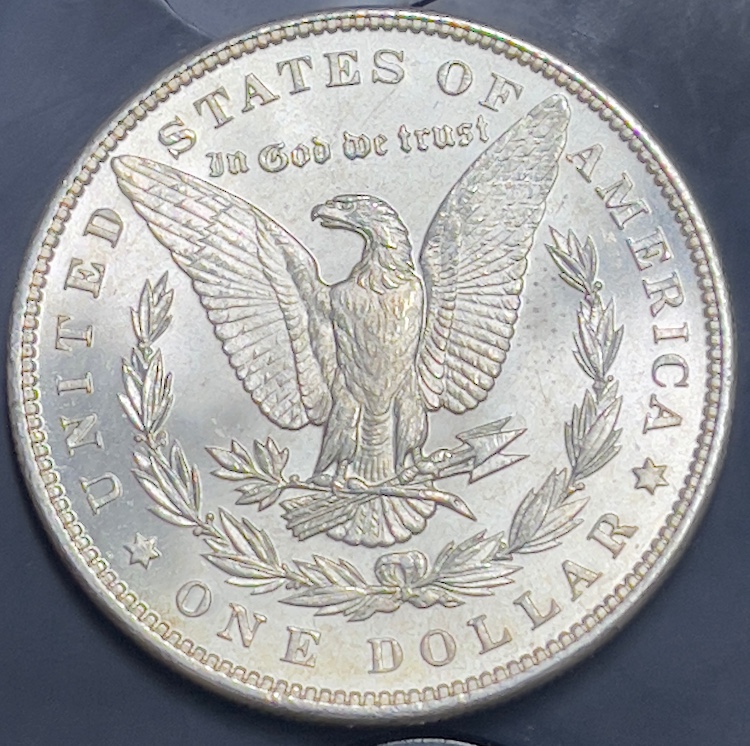 1898-P-Morgan---Grade-It!