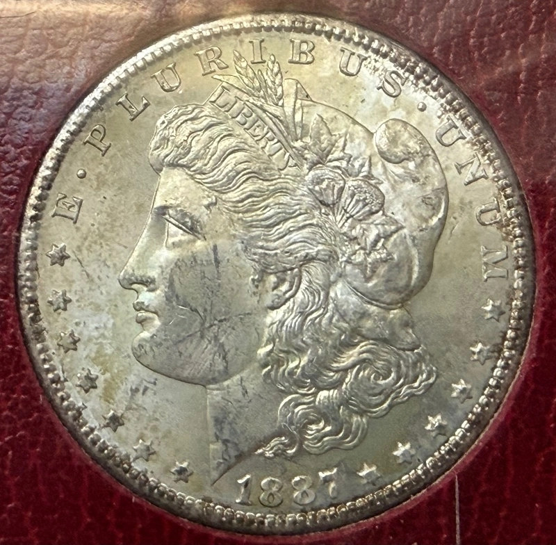 1887-S-Morgan---Grade-It!