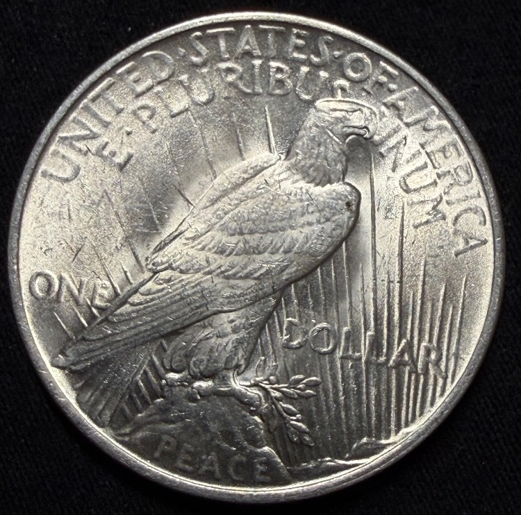 1922-P-Peace-Dollar---Grade-It!