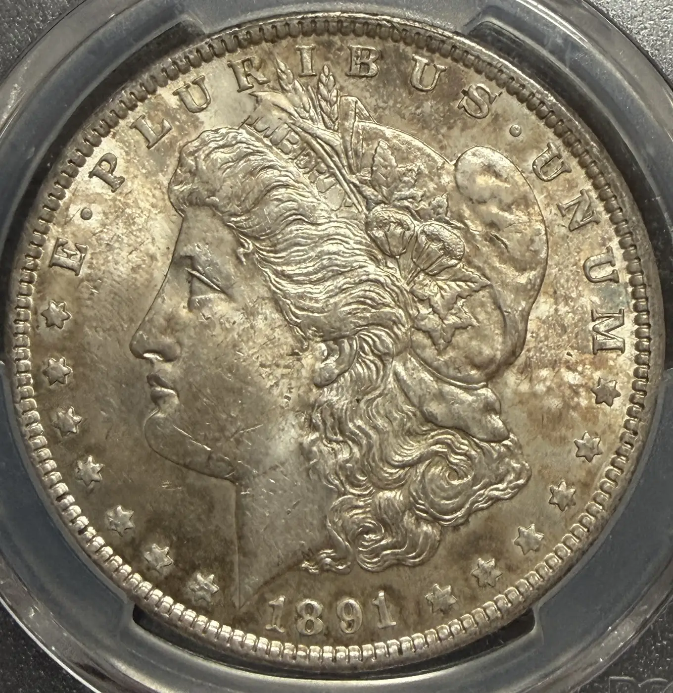 1891-P-Morgan-You-Vs-PCGS