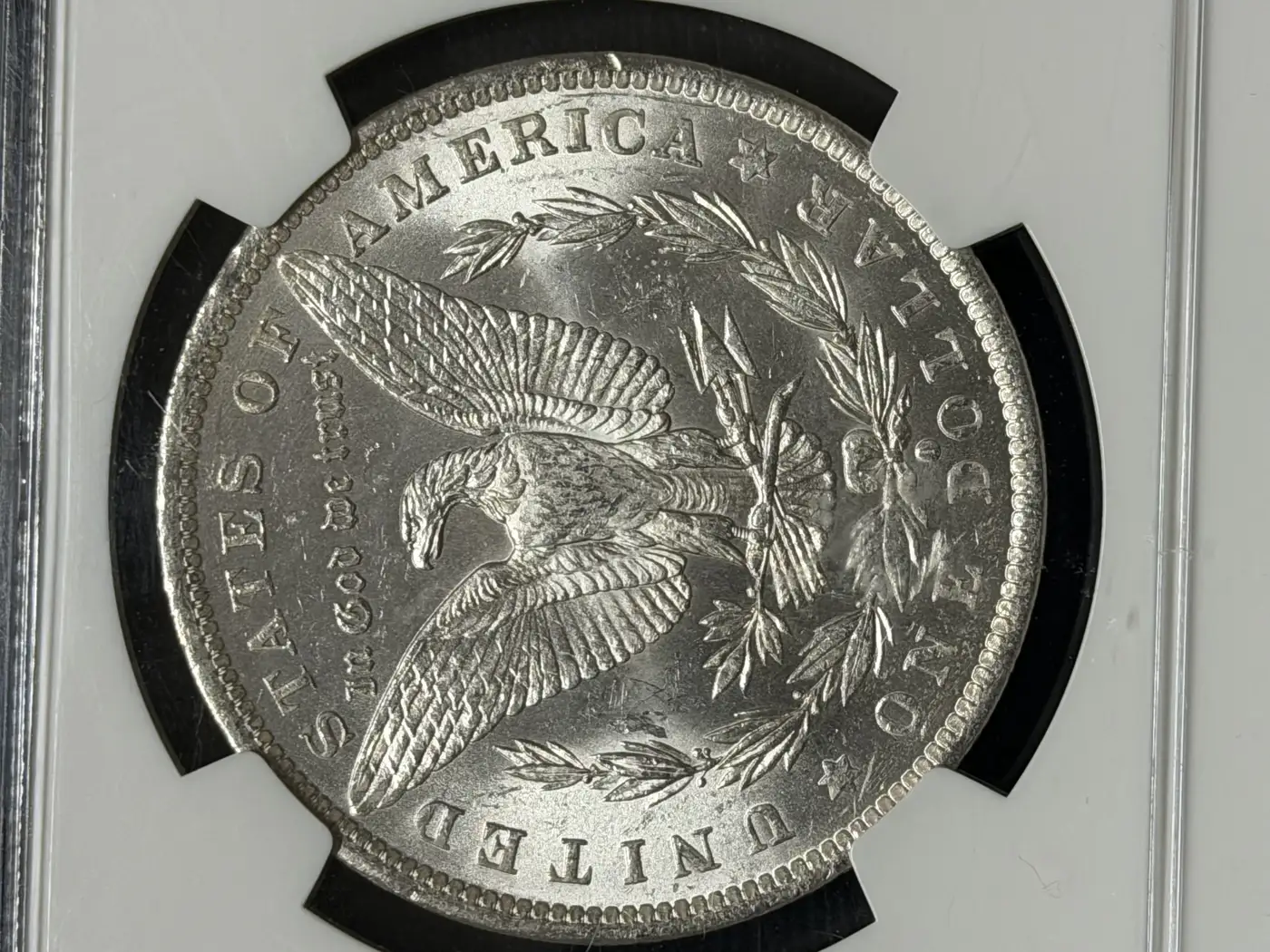 1884-O-Morgan-You-Vs-Ncg