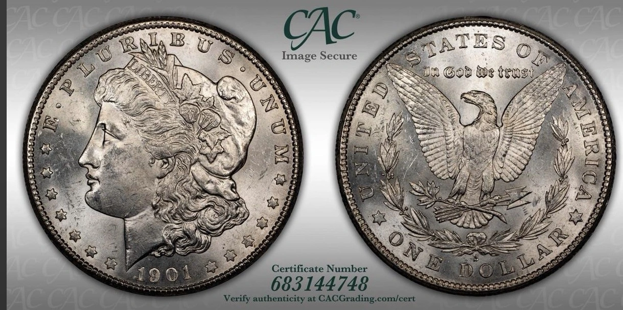 1901-S-Morgan---Grade-It!
