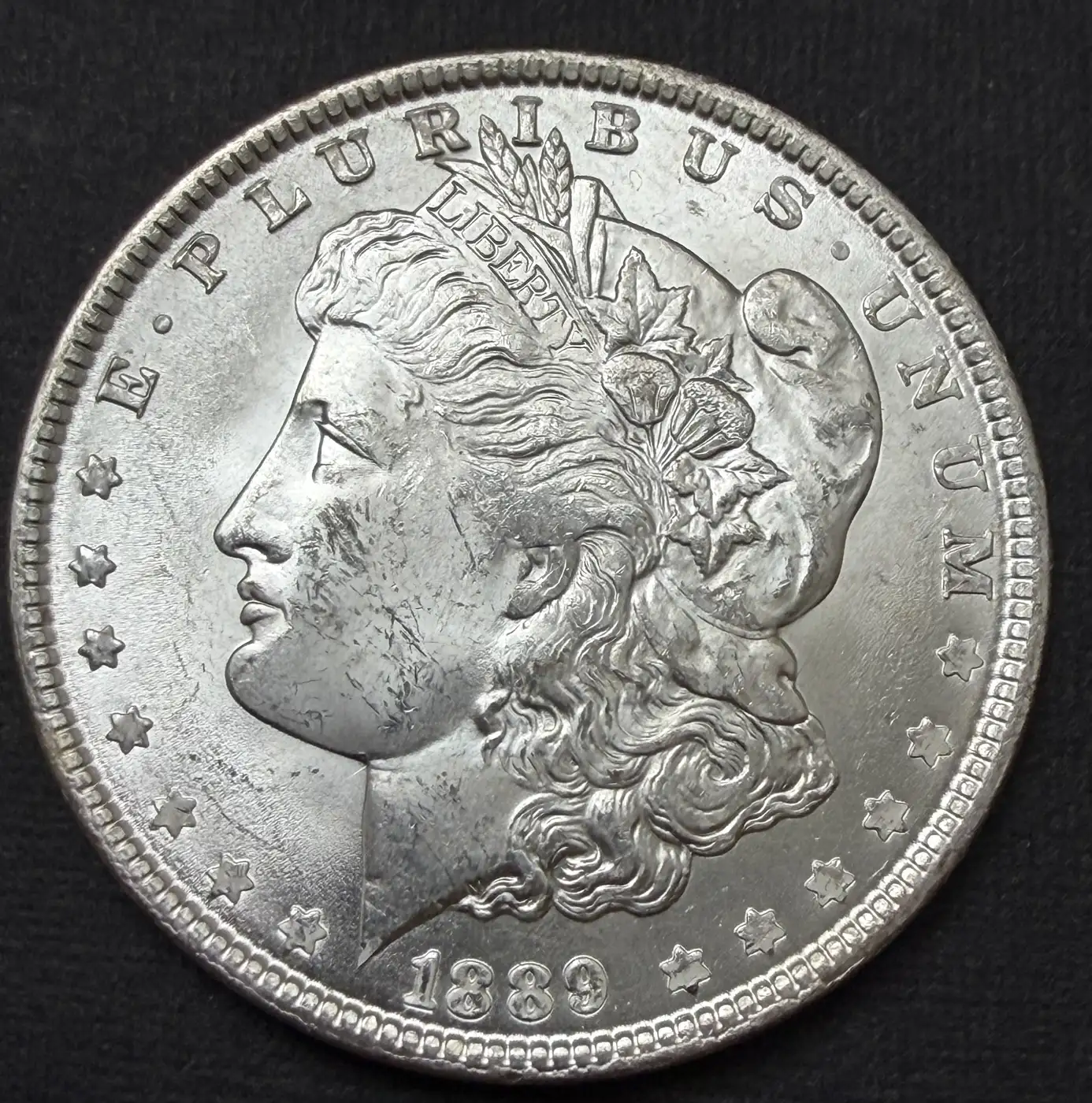 1889-Morgan-With-A-Mushy-Head---Grade-It!