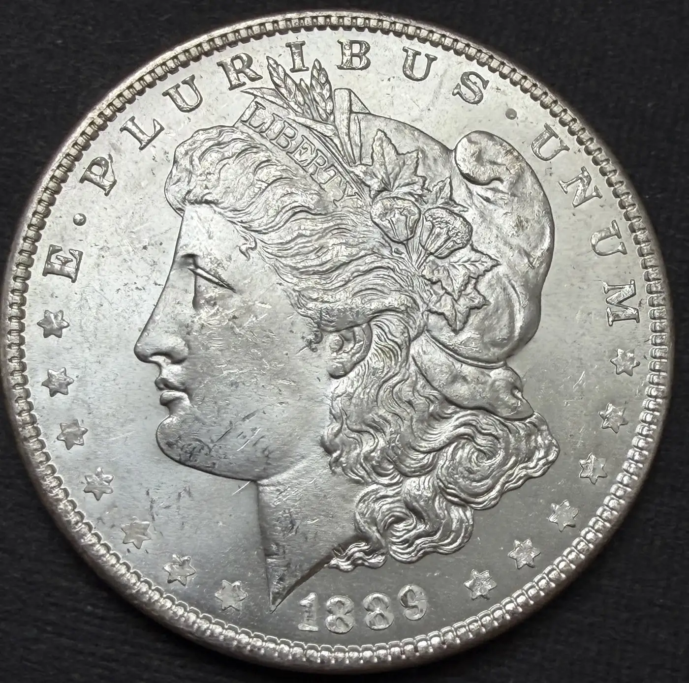 1889-Morgan#4-Grade-It!