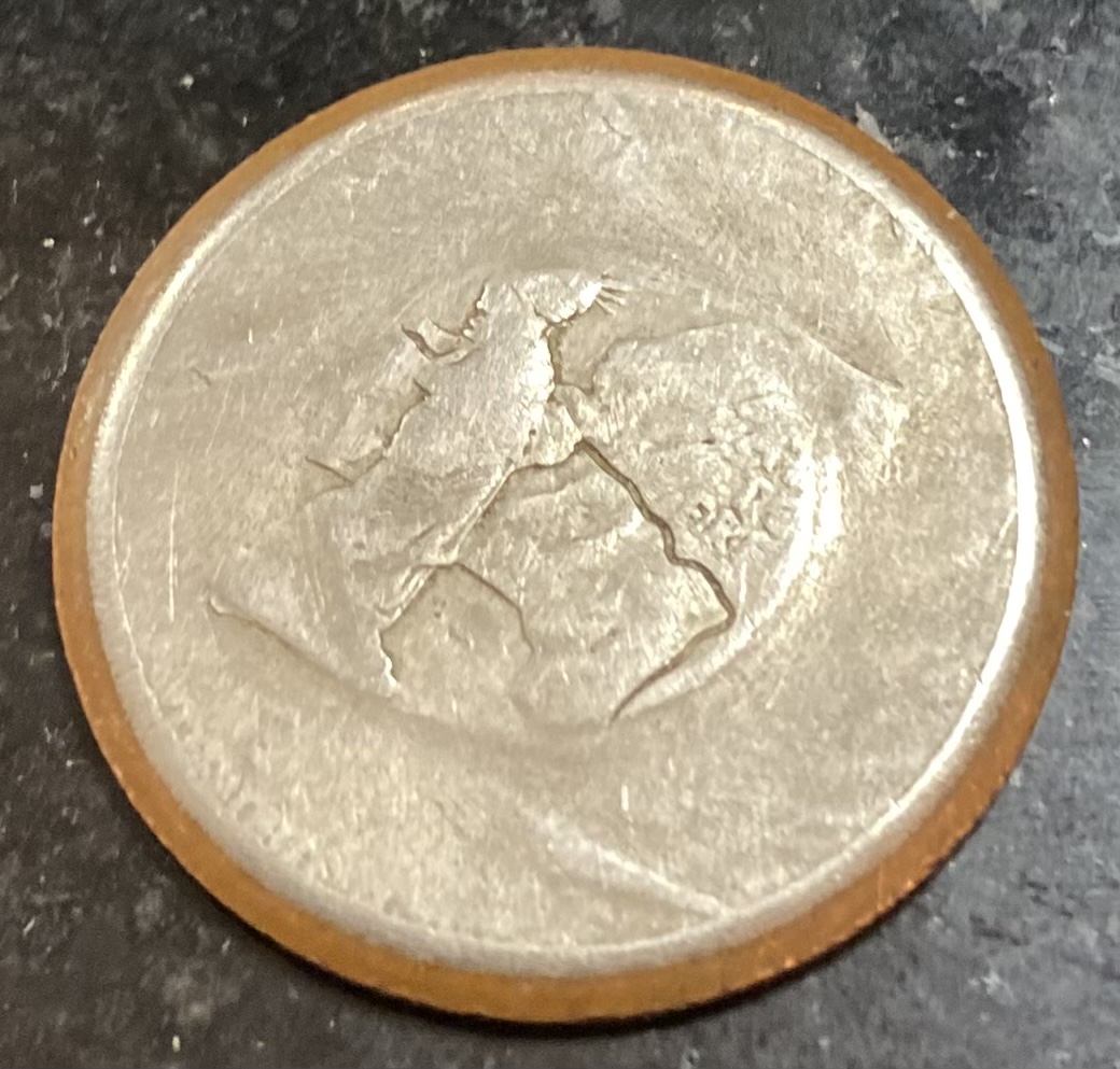 NY-State-Quarter-Error?
