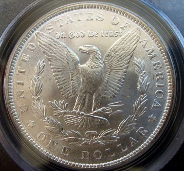 1886-Morgan-PCGS---For-Your-Grading-Consideration