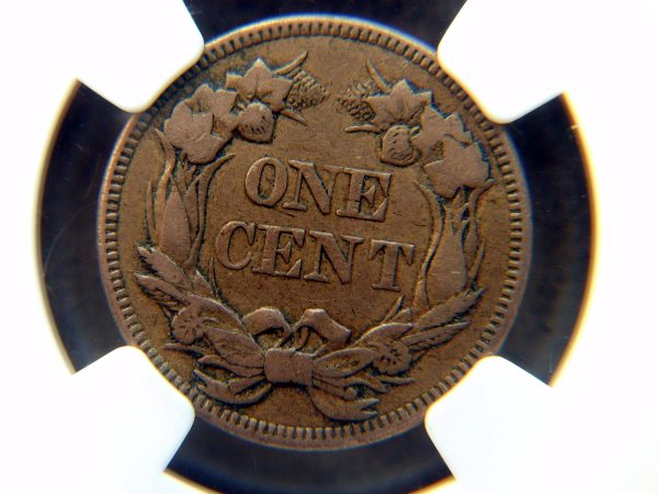 1857-Flying-Eagle---What-Do-You-Think?
