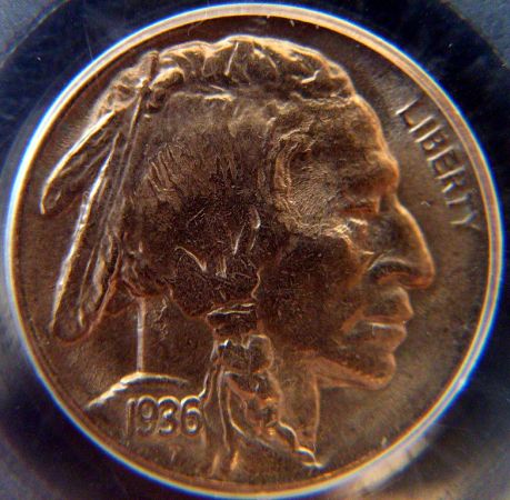 1936-D-Buffalo-Nickel---What-Do-You-Think?-PCGS