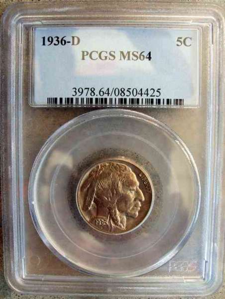 1936-D-Buffalo-Nickel---What-Do-You-Think?-PCGS