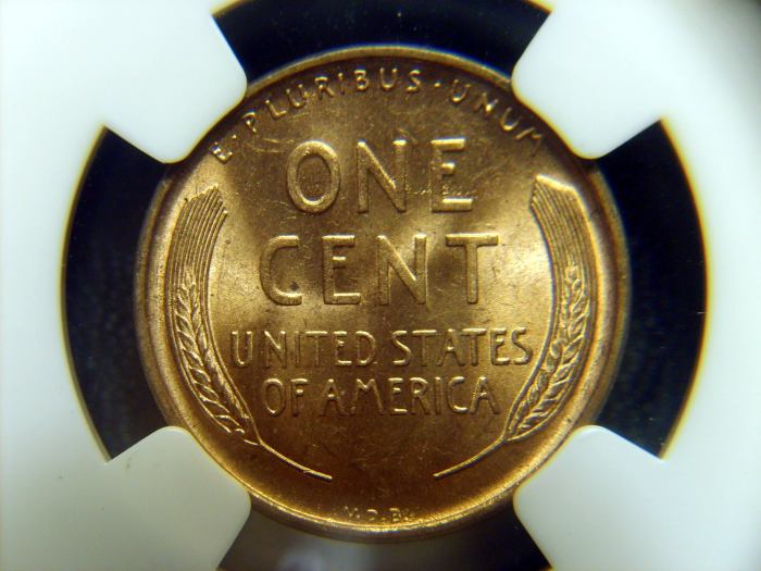 1909-VDB---What-Do-You-Think?-Ngc