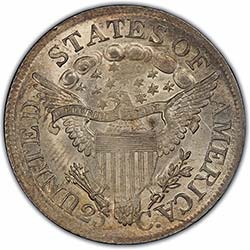 Large-Bust-Vs-Small-Bust-Quarter