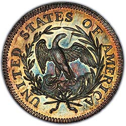 Large-Bust-Vs-Small-Bust-Quarter