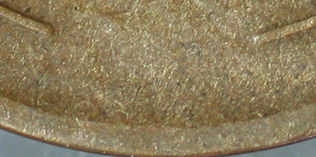 1909-S-VDB-Help