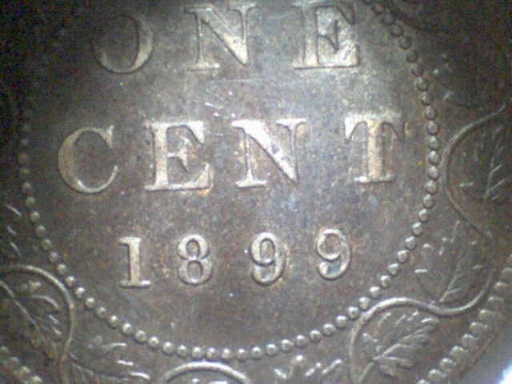 1899-Vickie-Repunch-Alternate