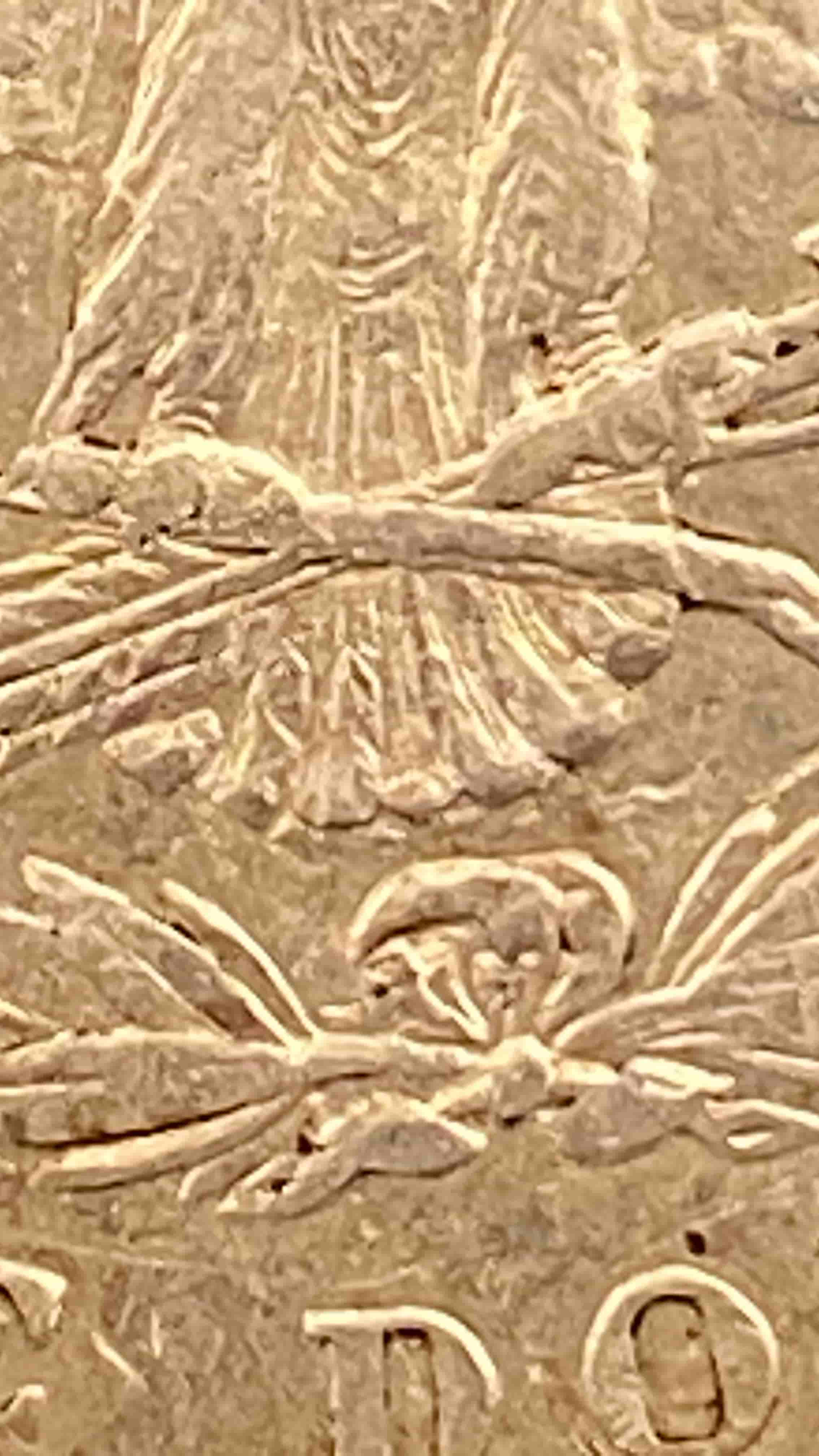 1878-P-VAM41-Or-VAM41-B