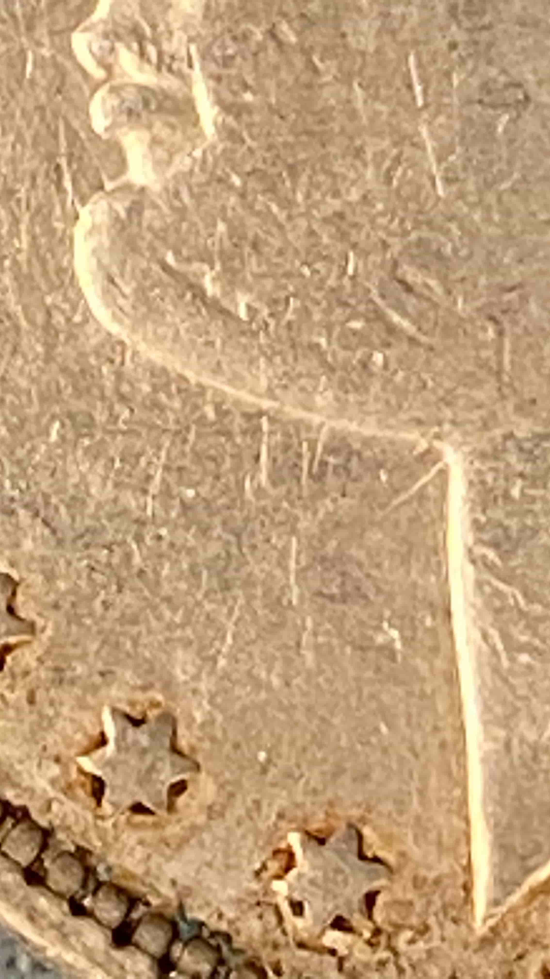 1878-P-VAM41-Or-VAM41-B