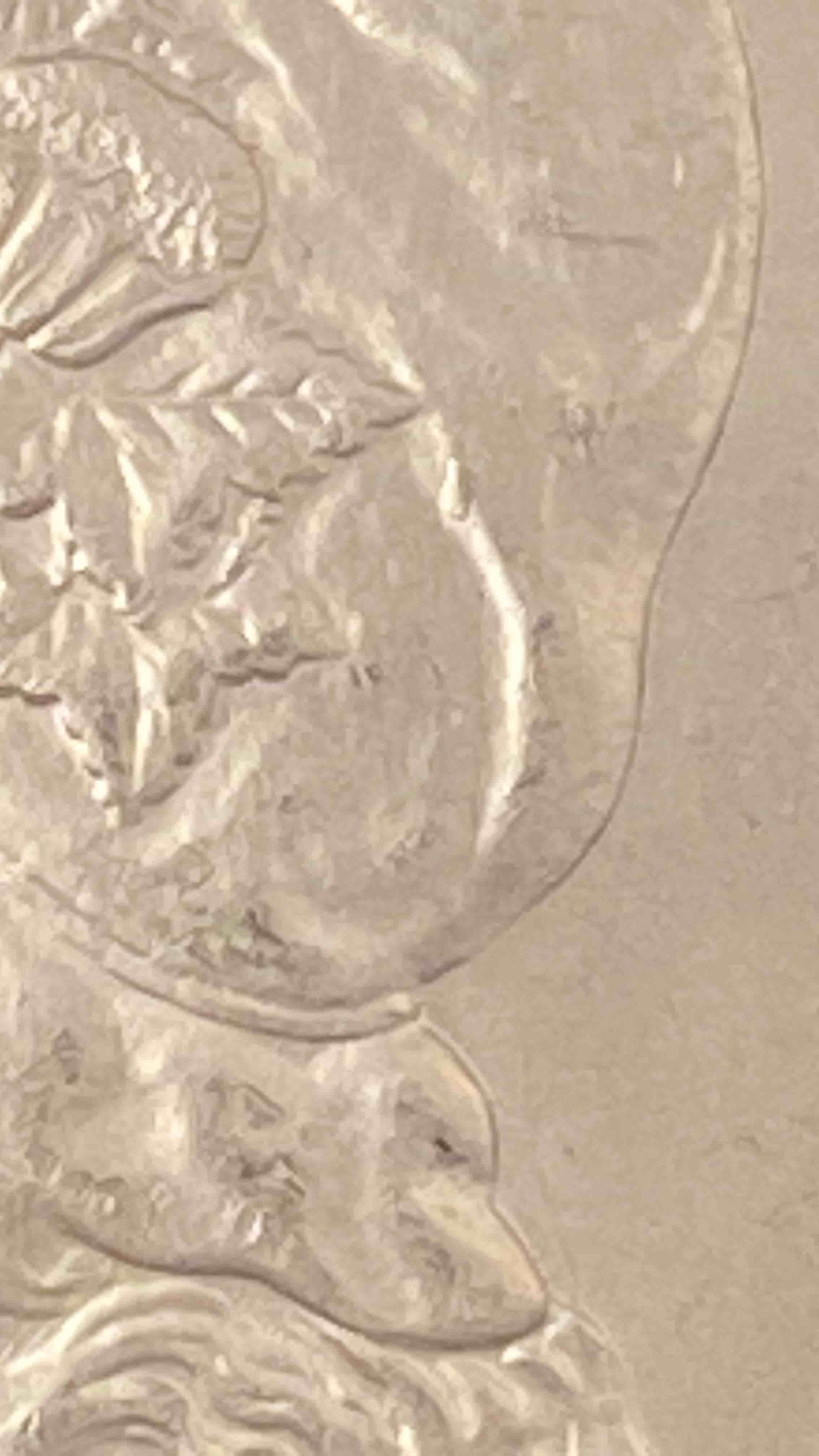 1889-P-Morgan-W/-Die-Chip---VAM-18-Or-18A-Or-...?