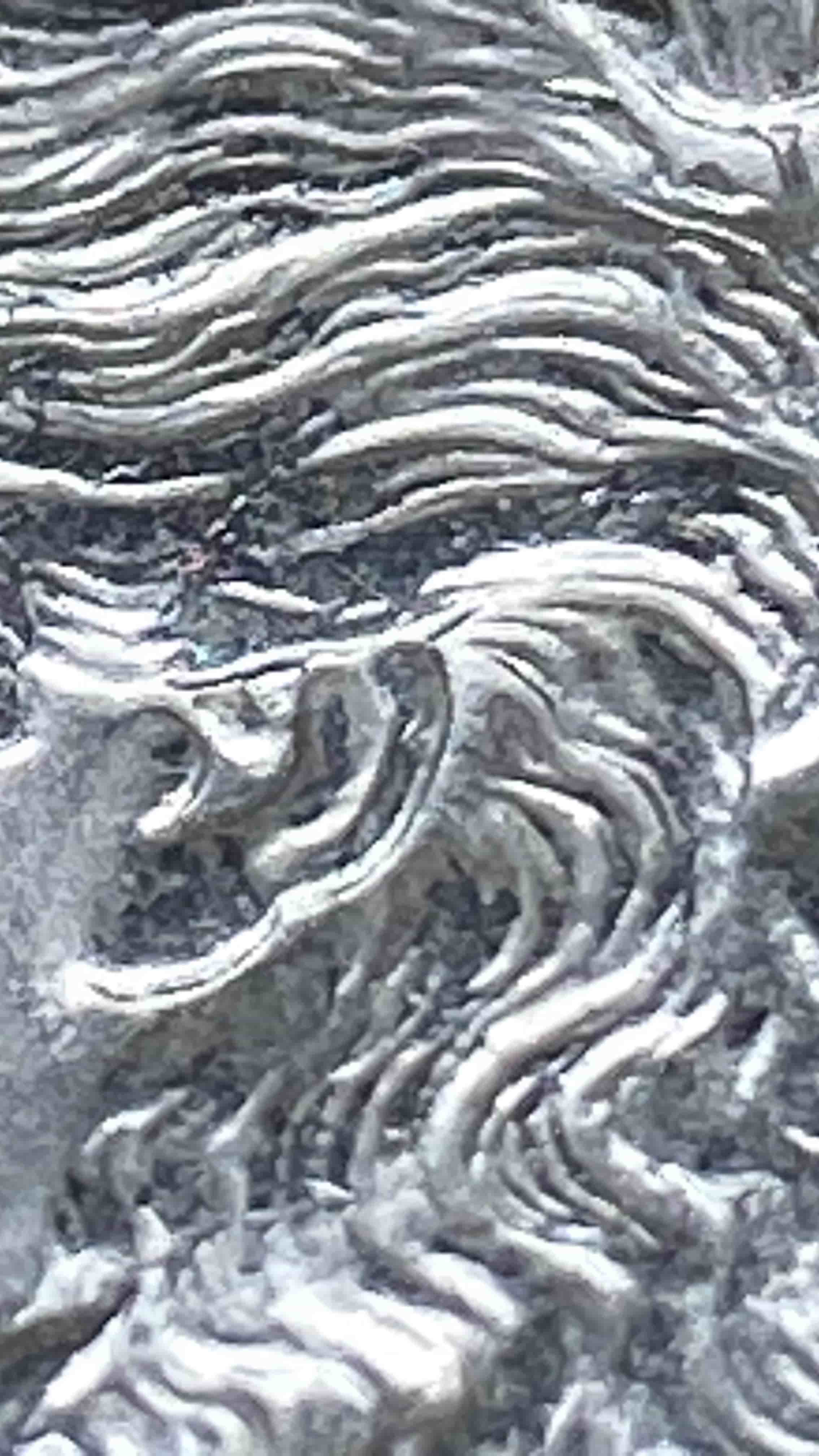 1889-P-Morgan-W/-Die-Chip---VAM-18-Or-18A-Or-...?