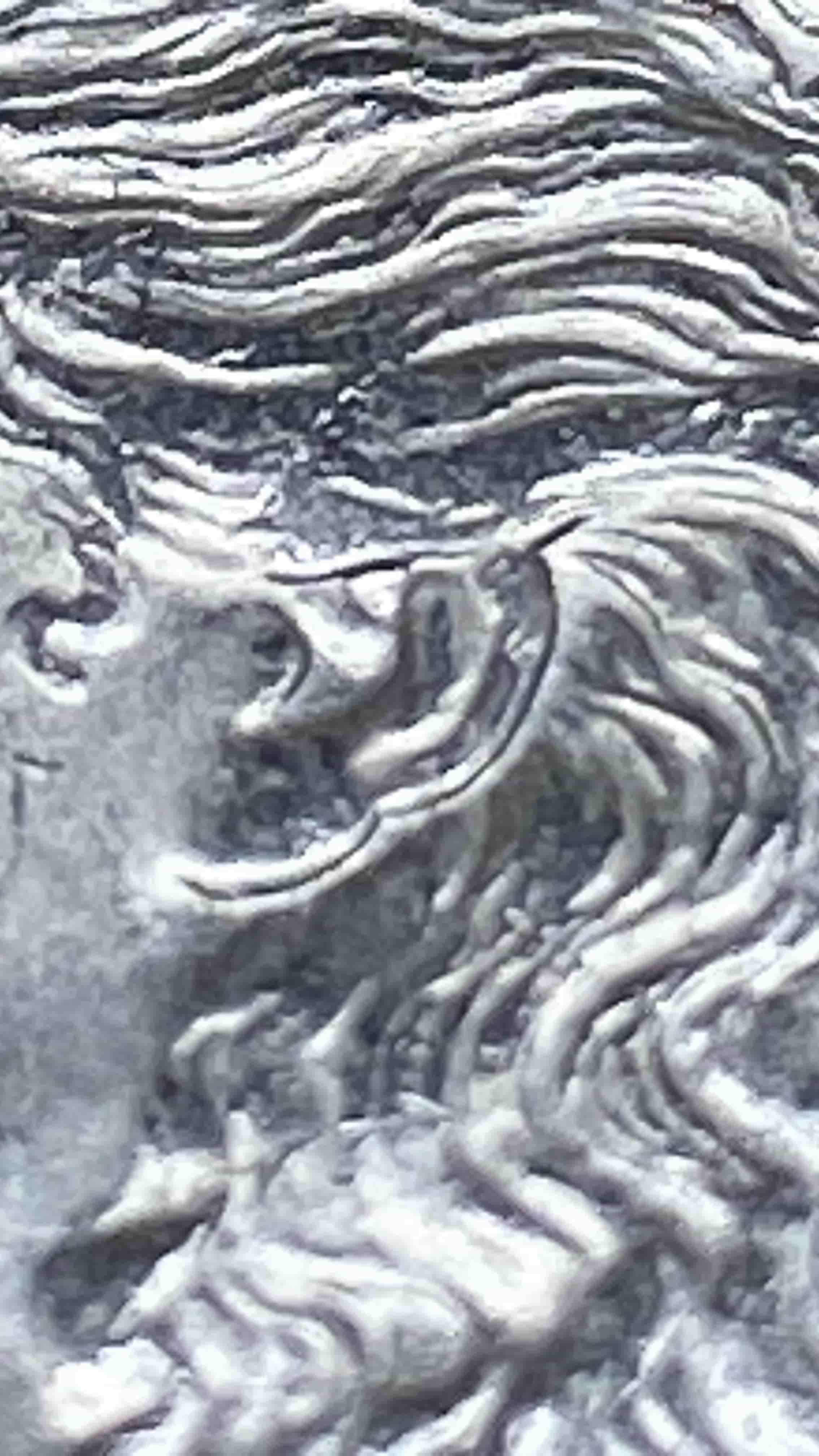 1889-P-Morgan-W/-Die-Chip---VAM-18-Or-18A-Or-...?