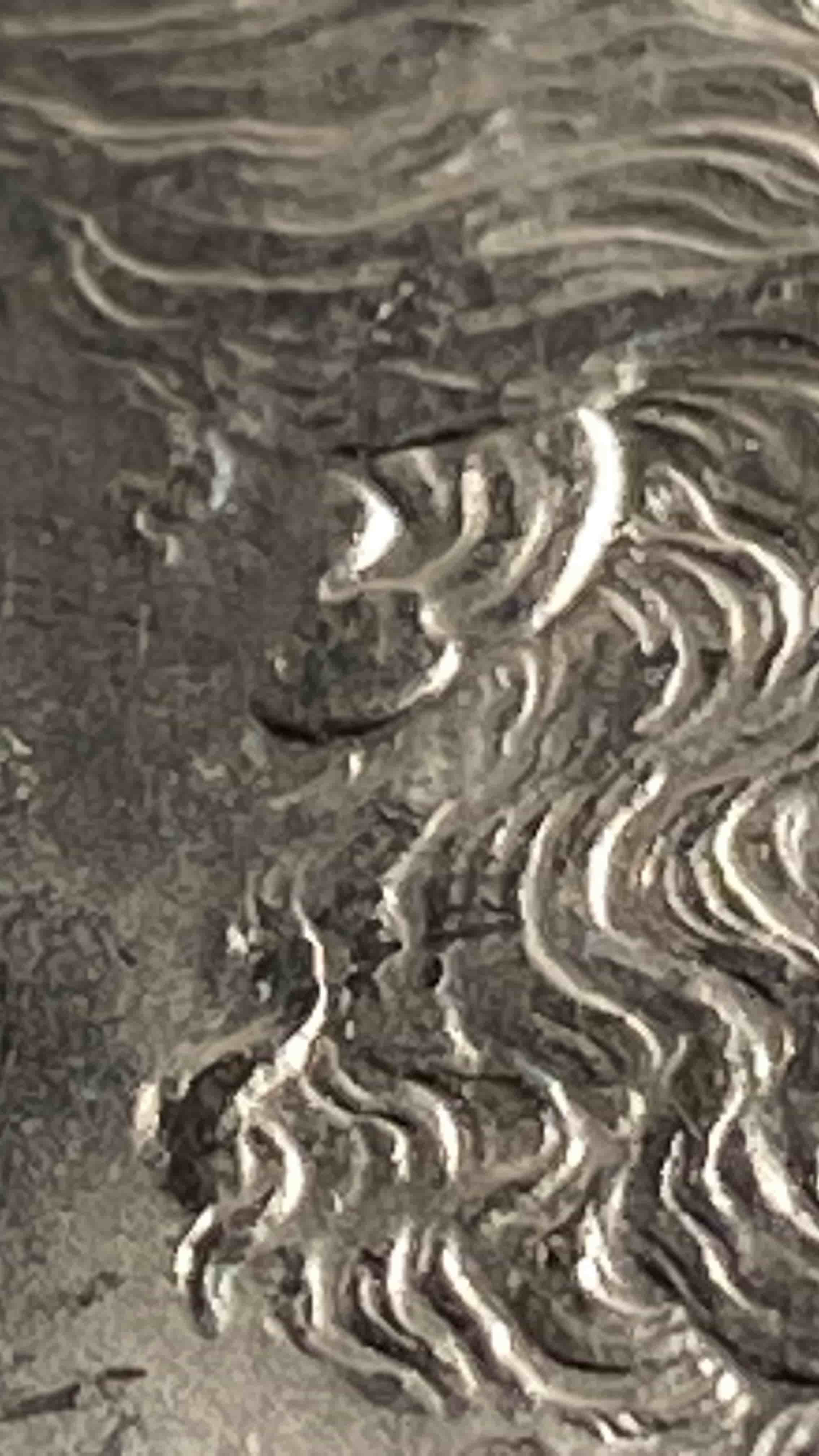 1889-P-Morgan-W/-Die-Chip---VAM-18-Or-18A-Or-...?