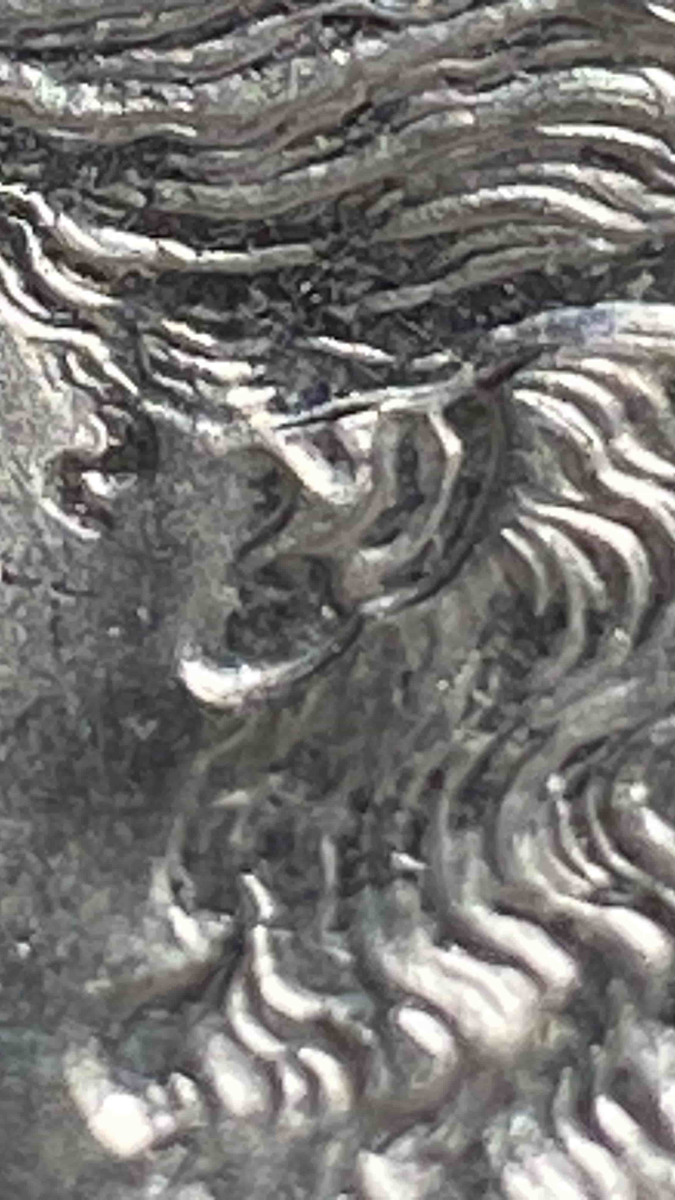 1889-P-Morgan-W/-Die-Chip---VAM-18-Or-18A-Or-...?