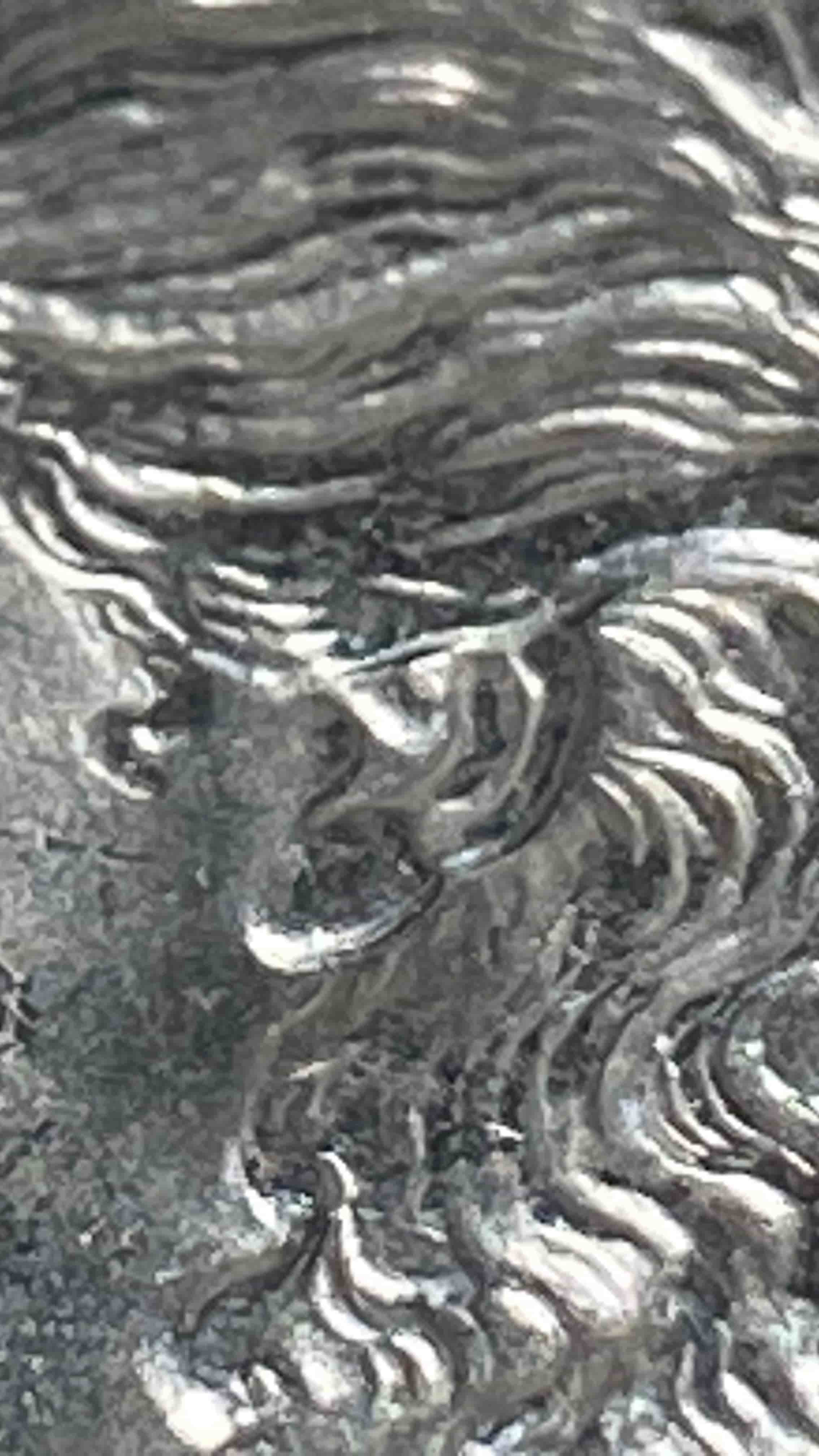 1889-P-Morgan-W/-Die-Chip---VAM-18-Or-18A-Or-...?