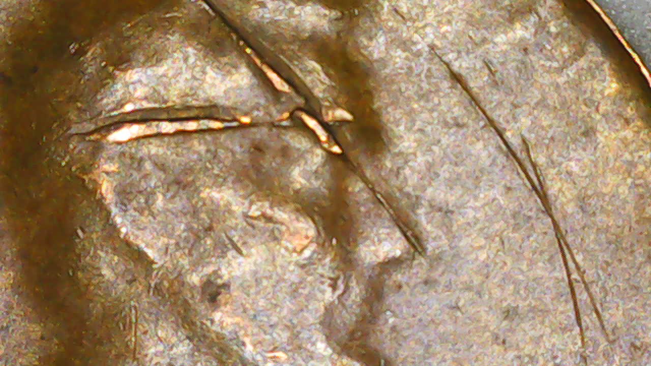 1973-D-Memorial-Cent-Deteriorating-Capped-Die?