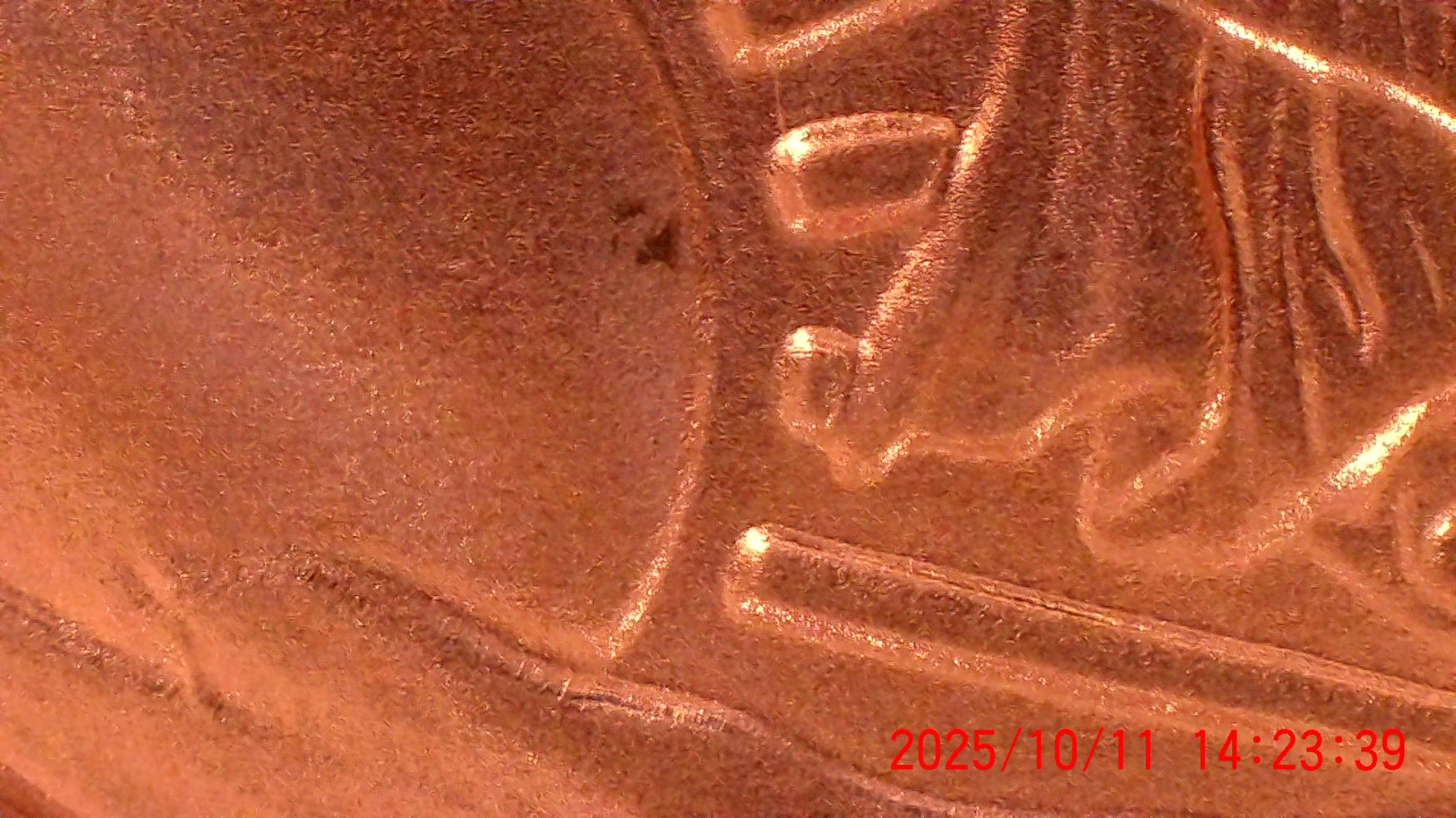 2024-American-Silver-Eagle-1-Oz-Bullion---Not-Sure-What-This-Spot-Is.