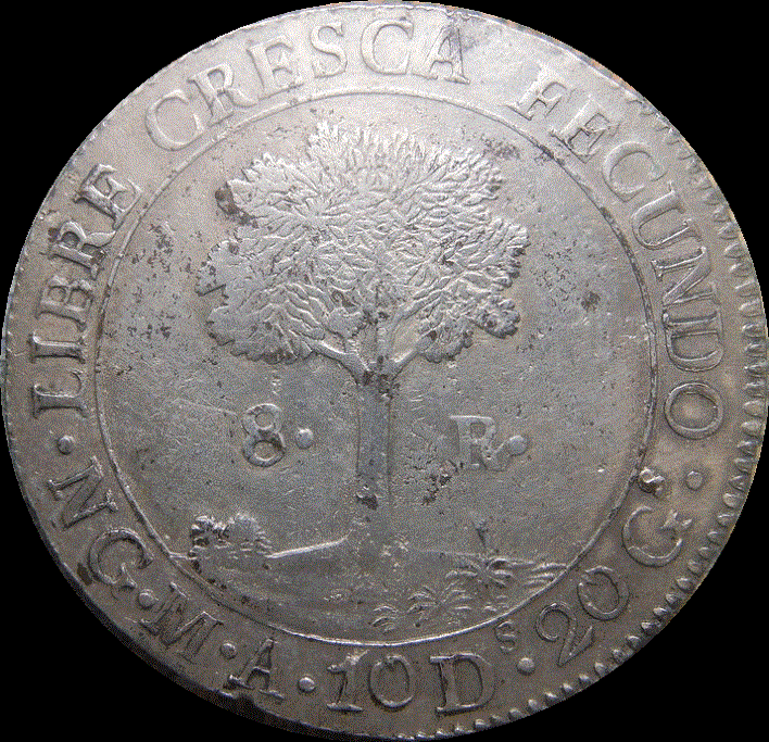 Thoughts-On-A-Central-American-Republic-8-Reales