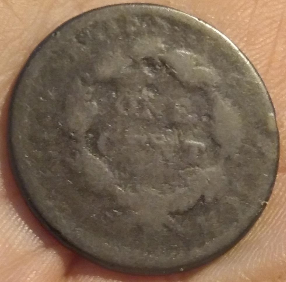 Pretty-Nice-Glossy-Brown-Poor-1813-S-292;-What-Is-That-Lump-On-Her-Head?