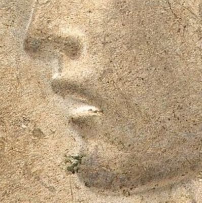 Stiff-Upper-Lip?-What-Is-That-Thing-On-This-1928-S-Peace-Dollar?