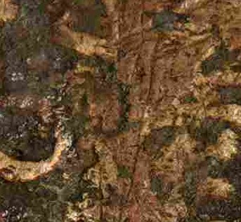 1786-New-Jersey-That-Looks-Like-It's-Possibly-Struck-Over-Another-Coin