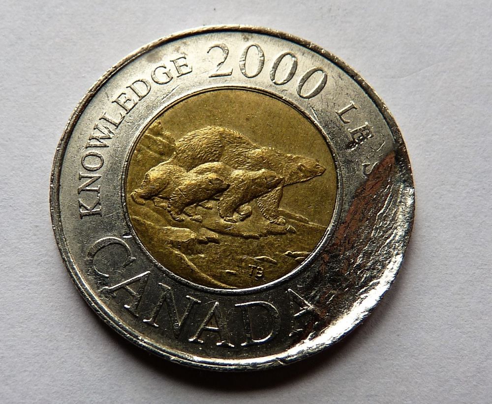Question-About-2-Dollar-Coin,-Error?