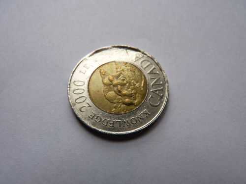 Question-About-2-Dollar-Coin,-Error?