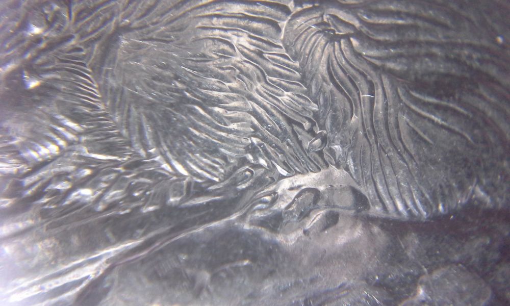 2006-5-Cent-Die-Chip
