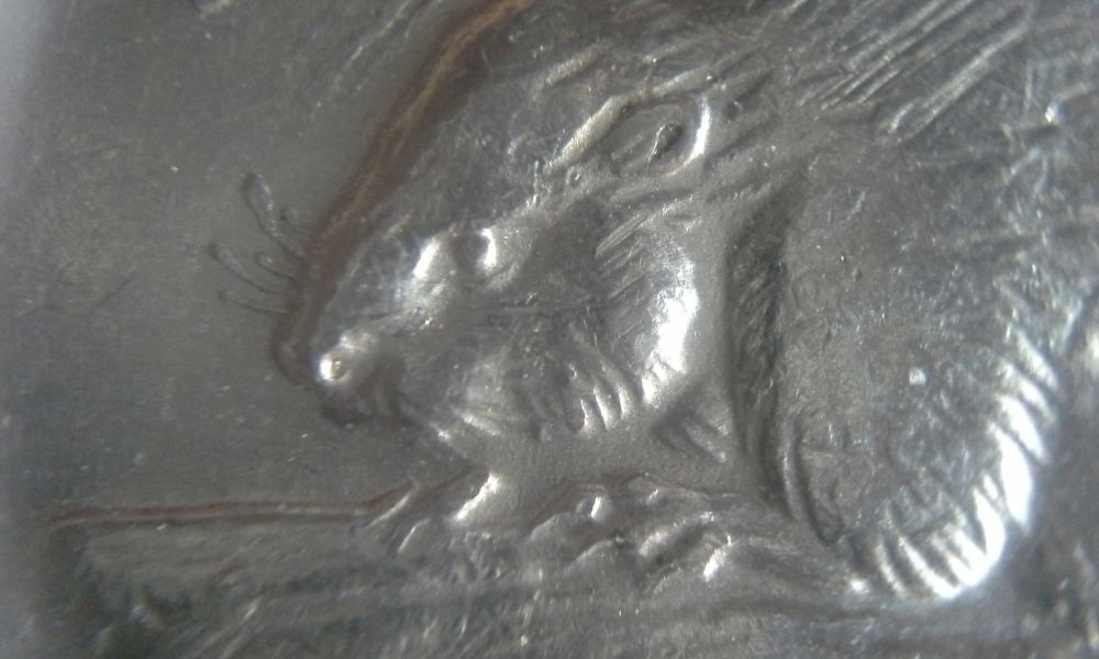 Weak-Neck-1972-Nickel