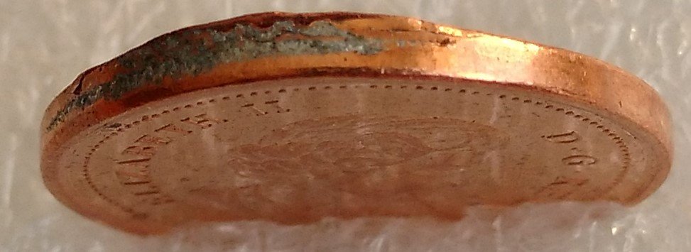 2010-Penny-Nice-Rim-Fin