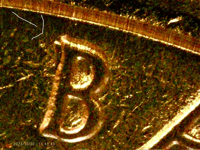 2020-P-Salt-Bay-Quarter-What-Error-Is-This