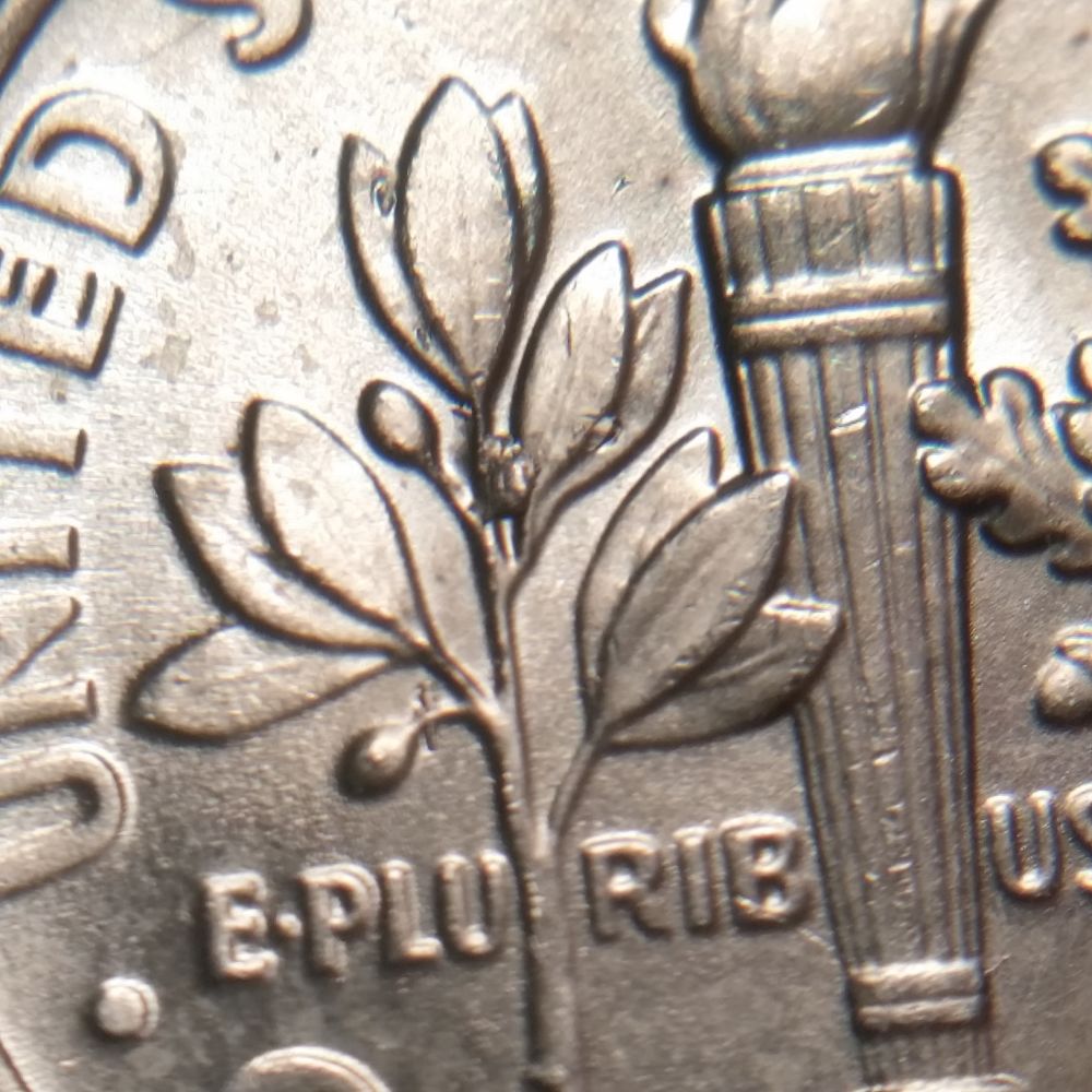 2013-P-Roosevelt-With-Warts?